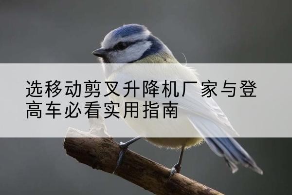 漳州电动升降机厂家-选移动剪叉升降机厂家与登高车必看实用指南
