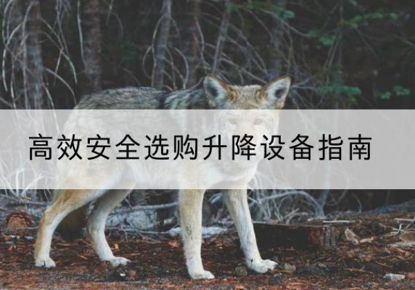 漳州升降货梯厂家推荐-*安全选购升降设备指南