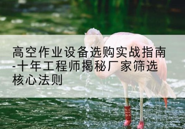 漳州剪叉式升降机厂家-高空作业设备选购实战指南-十年工程师揭秘厂家筛选核心法则